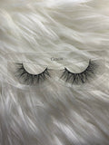 Gracie 18mm